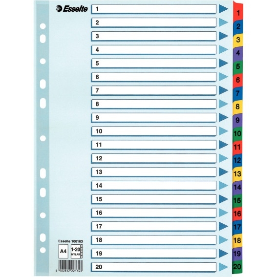 Przekładki kartonowe MYLAR A4 1-20 100163 białe ESSELTE