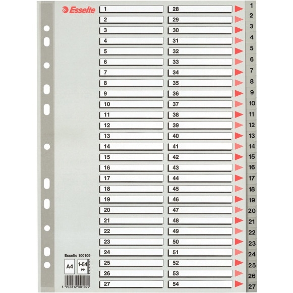 Przekładki plastikowe numeryczne A4 1-54 szare ESSELTE 100109
