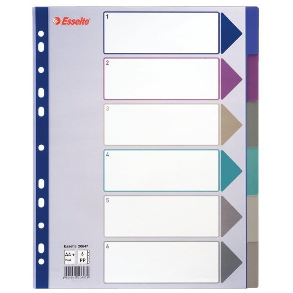 Przekł.A4 PP MULTICOLOR 6 kart 20647 MAXI ESSELTE