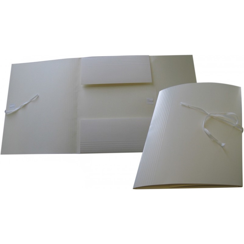 Teczka do archiwizacji bezkwasowe 250x320x50 wiązana 1824-331-031 WARTA