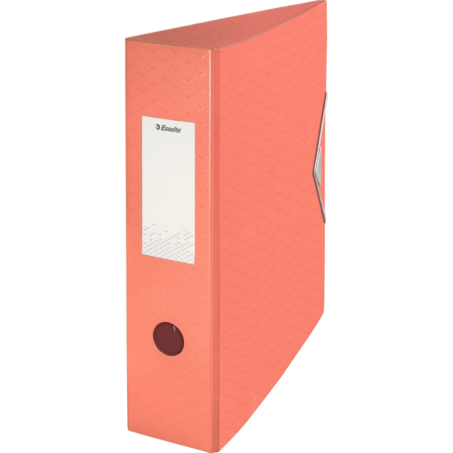 Segregator A4/80mm COLOUR