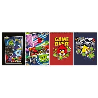 Zeszyt A5 16k kolorowa linia ANGRY BIRDS MOVIE INTERDRUK 7231
