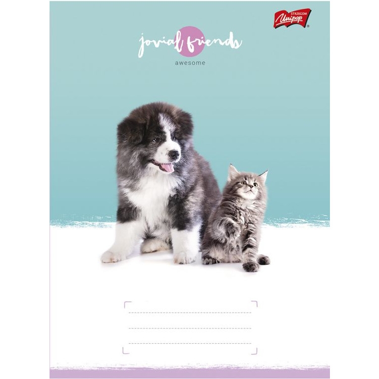 Zeszyt A5 32k linia dwukolo.L mix dziewczęcy laminowany UNIPAP *6991