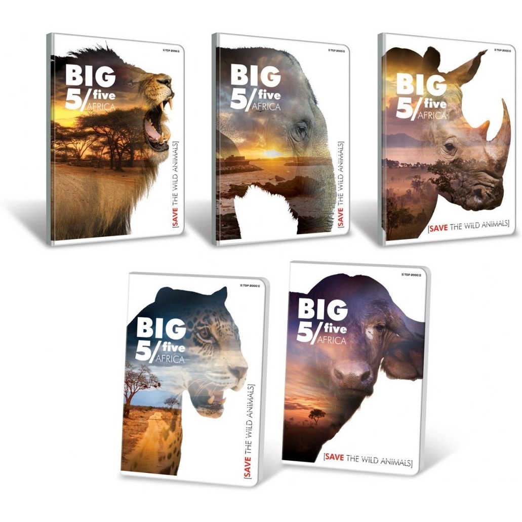 Zeszyt TOP BIG 5 A5 70g 32k kratka 400113898