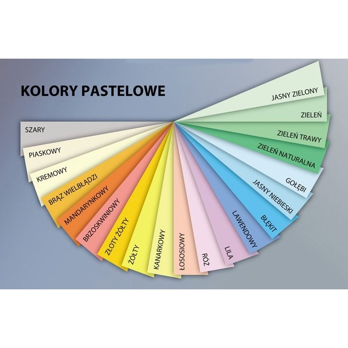 Papier xero A4 160g łososiowy TROPHEE 1104 250ark xca41104