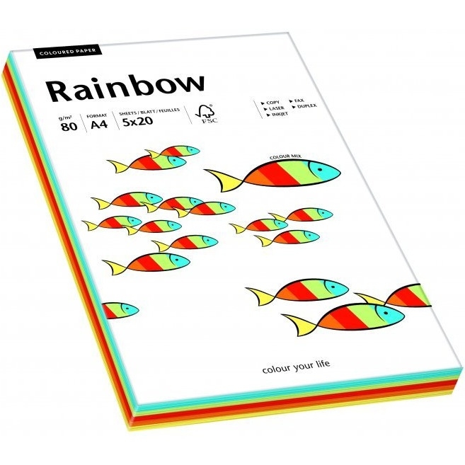 Papier xero kolorowy RAINBOW mix intensywny odcień 88043188