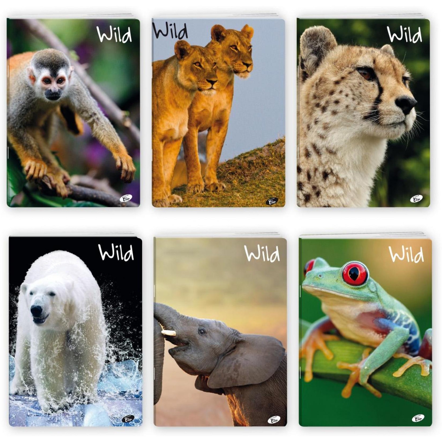 Zeszyt w kratkę A5 okł.miękka WILD A20 EL-M6-032-KA5