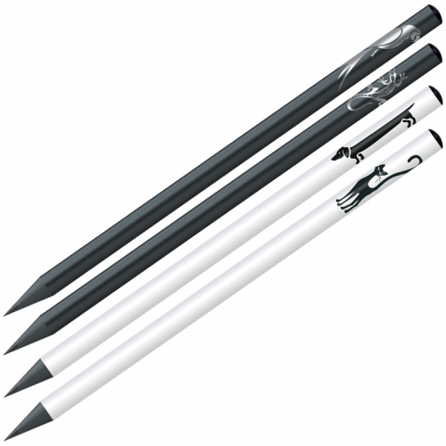 Ołówek Riddle HB czar. drew. okr. mix kol.