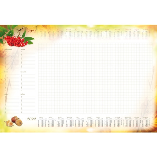 Terminarz-Planer B3 z listwą 2022 jarzębina T-2-B3-6 Michalczyk i Prokop