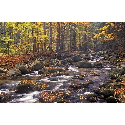 Kalendarz trójdzielny 2022 Potok T-105T-06 Michalczyk i Prokop