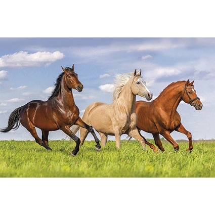 Kalendarz trójdzielny 2022 konie T-105T-11 Michalczyk i Prokop