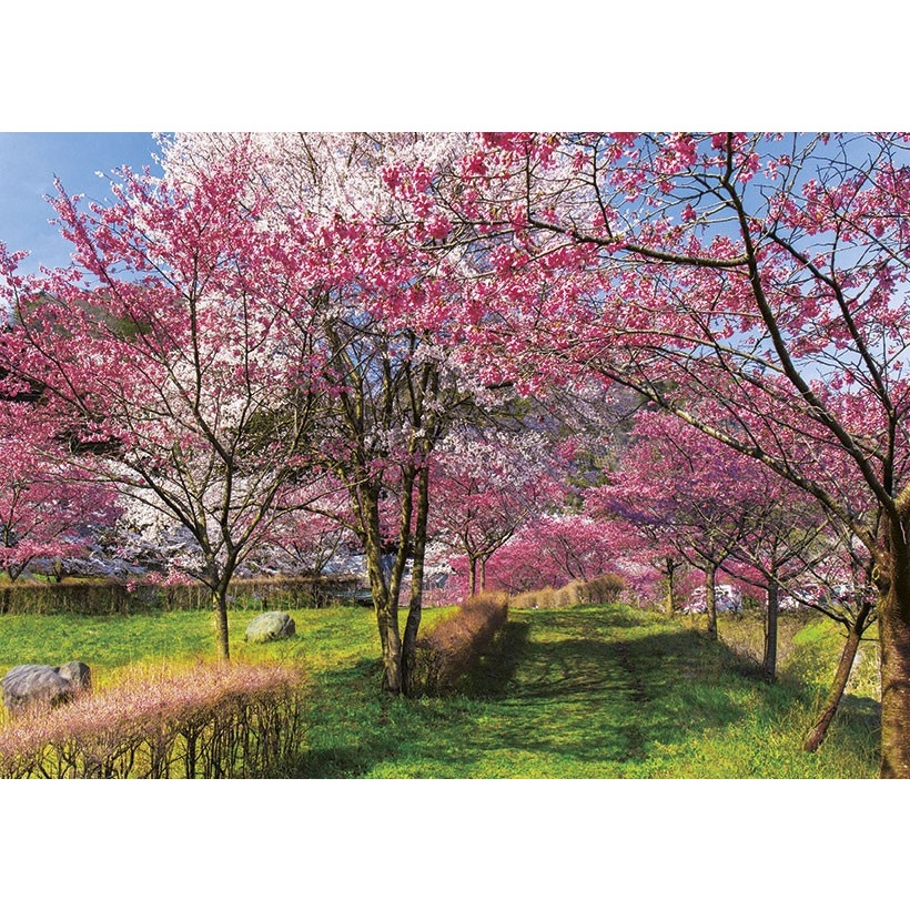 Kalendarz trójdzielny(H) 2022 T-106T-01 Michalczyk i Prokop