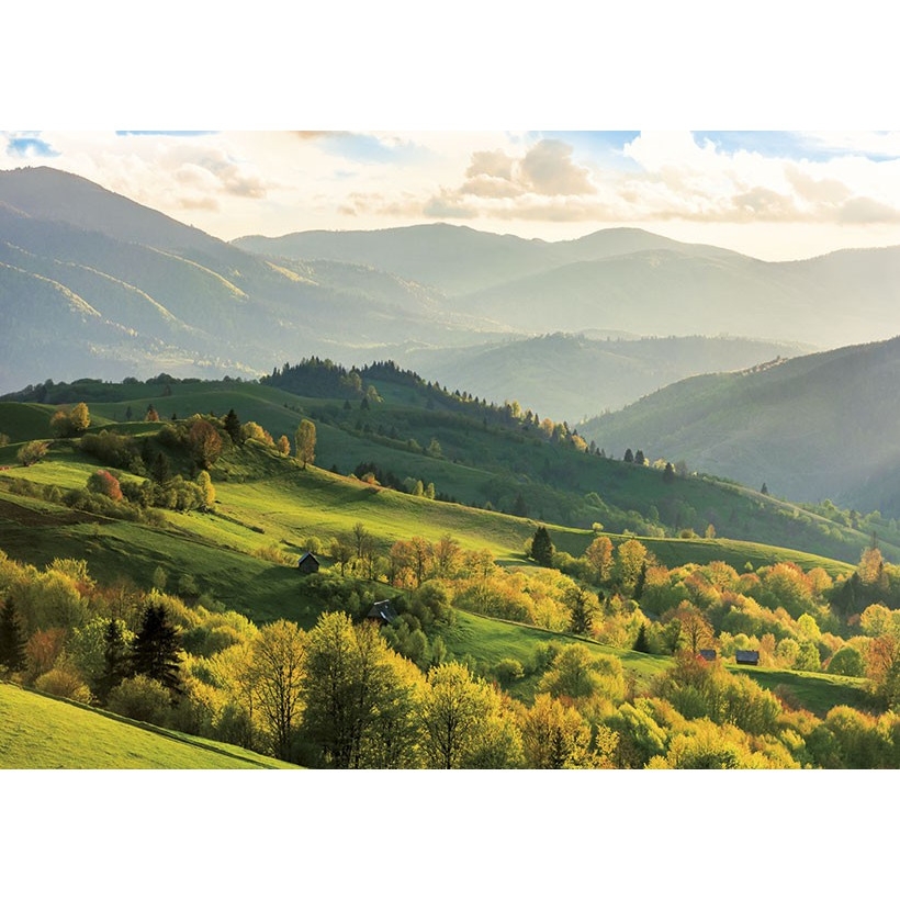 Kalendarz trójdzielny(H) 2022 T-106T-02 Michalczyk i Prokop