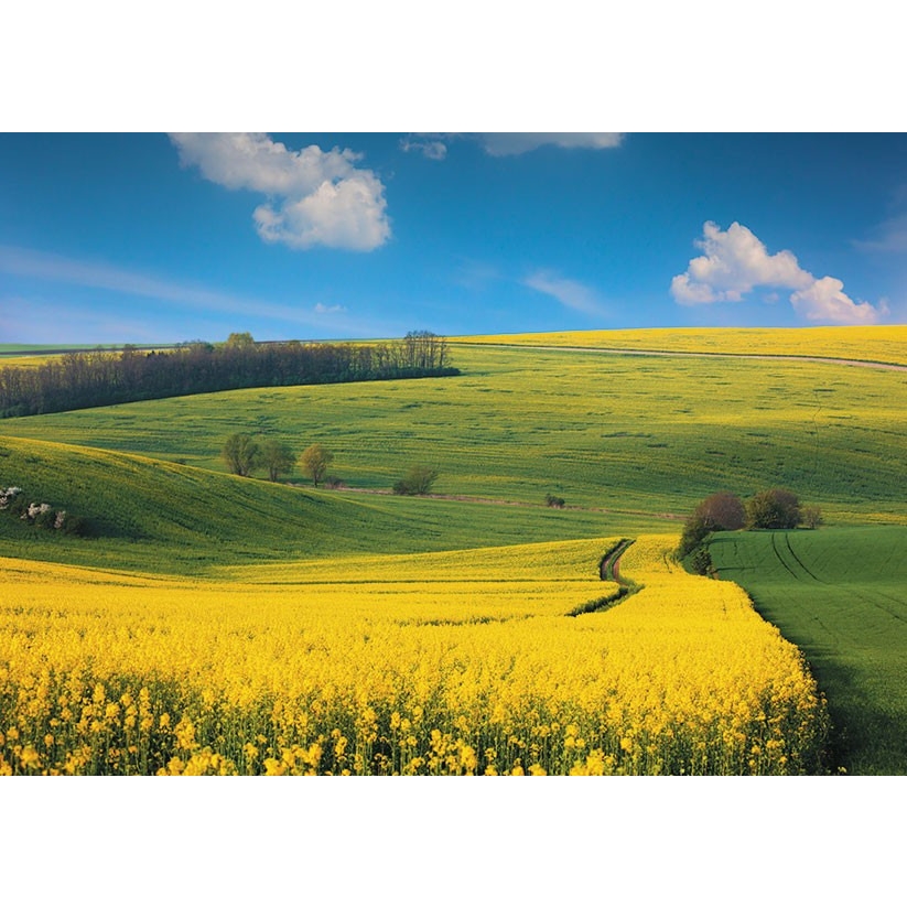 Kalendarz trójdzielny(H) 2022 T-106T-09 Michalczyk i Prokop