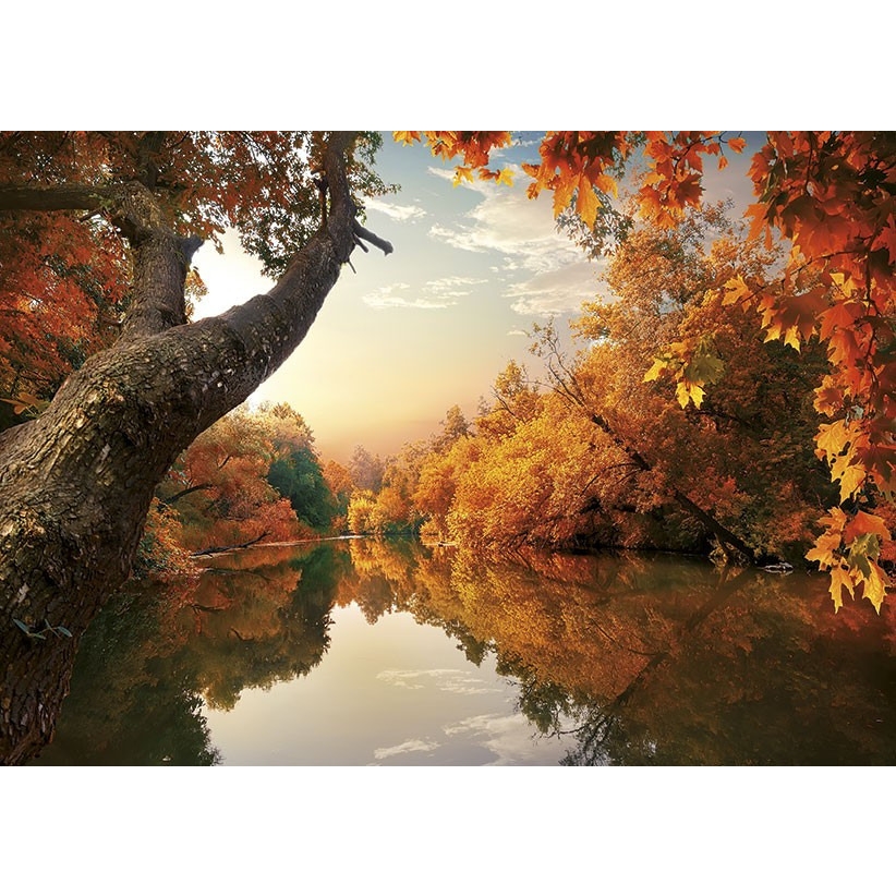 Kalendarz trójdzielny(H) 2022 T-106T-10 Michalczyk i Prokop