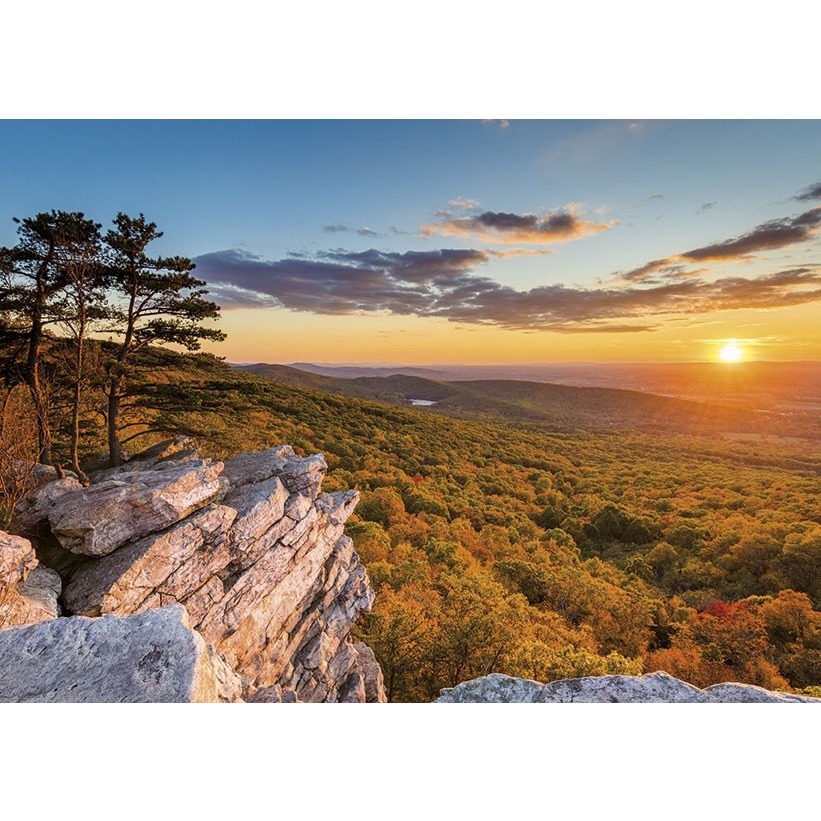 Kalendarz trójdzielny(H) 2022 T-106T-11 Michalczyk i Prokop