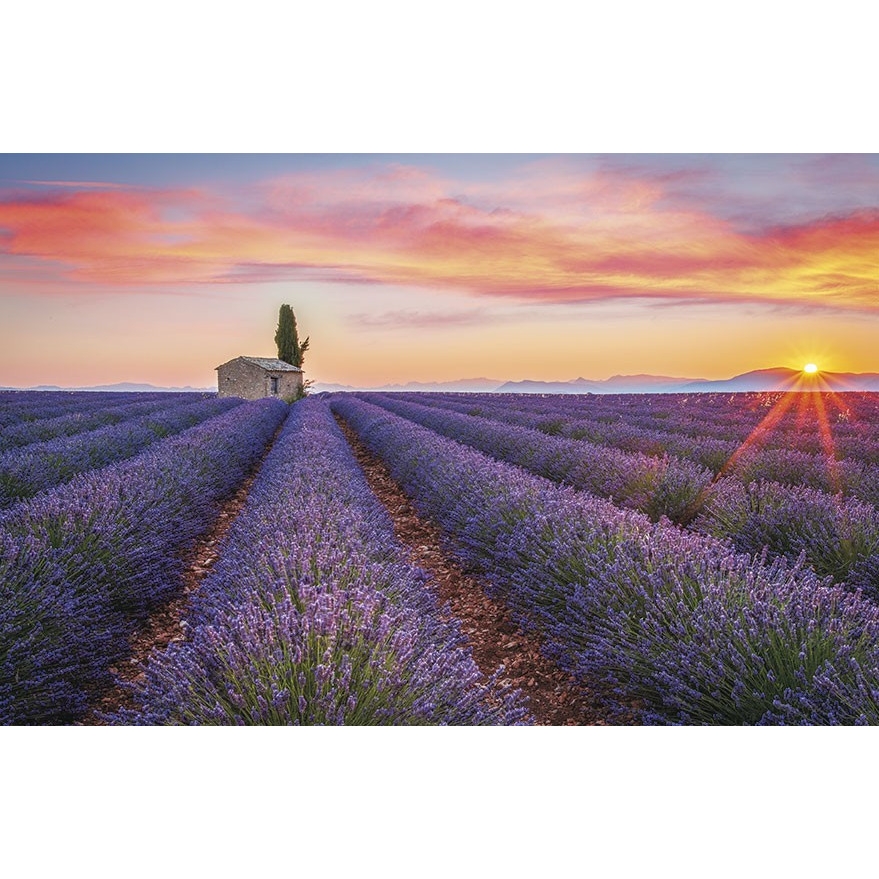 Terminarz ścienny 2022 T-107S-1 Michalczyk i Prokop
