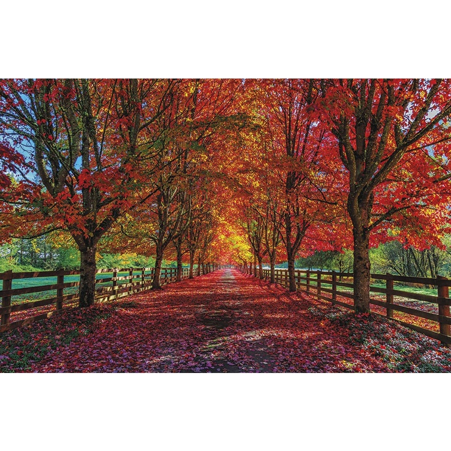 Terminarz ścienny 2022 T-107S-4 Michalczyk i Prokop