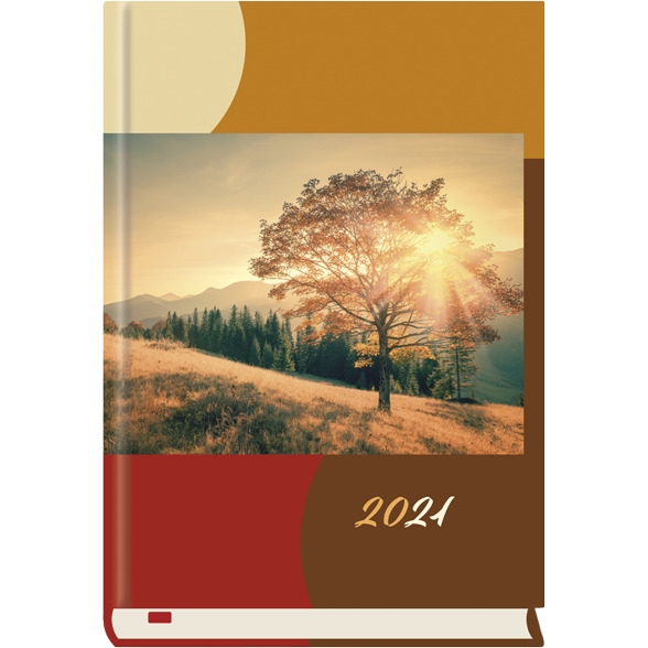 Terminarz Powszechny 2022 T-200F-04 Michalczyk i Prokop