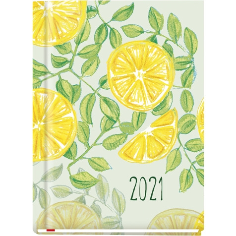 Terminarz OLA 2022 T-212F-03 Michalczyk i Prokop