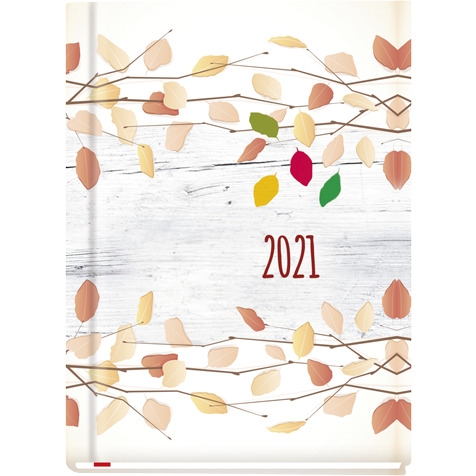 Terminarz OLA 2022 T-212F-05 Michalczyk i Prokop