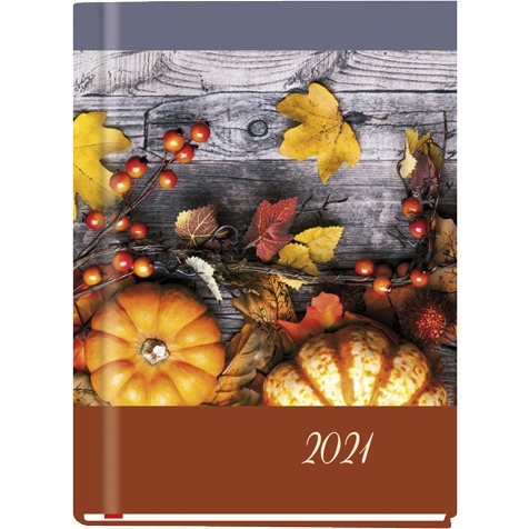 Terminarz OLA 2022 T-212F-06 Michalczyk i Prokop