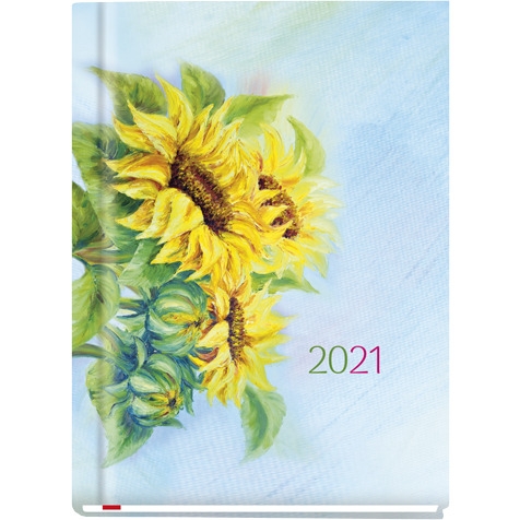 Terminarz OLA 2022 T-212F-07 Michalczyk i Prokop