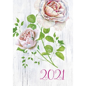 Terminarz Mikro 2022 T-MIKRO-01 Michalczyk i Prokop