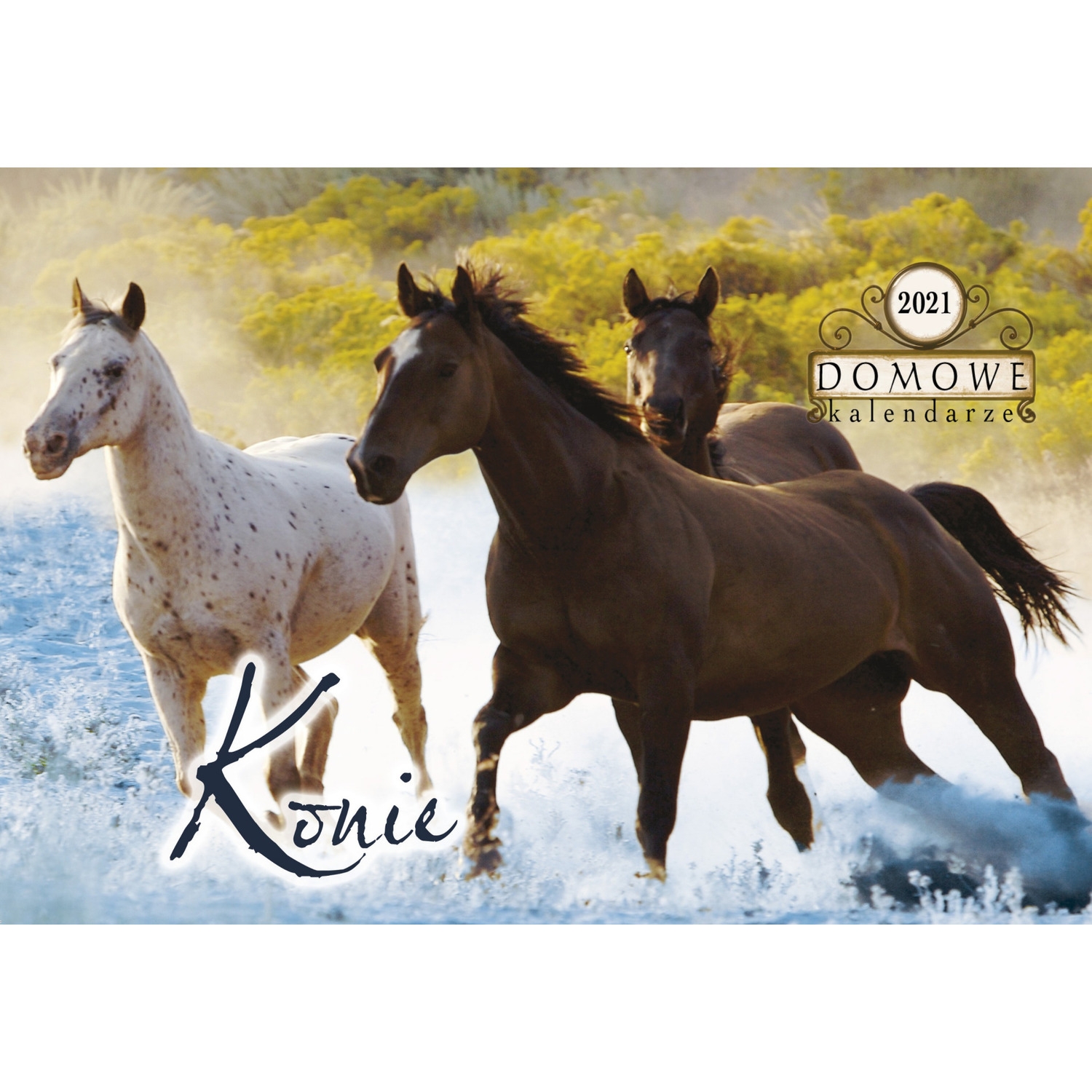 Terminarz DOMOWY 2022 - konie TW-10-6 Michalczyk i Prokop